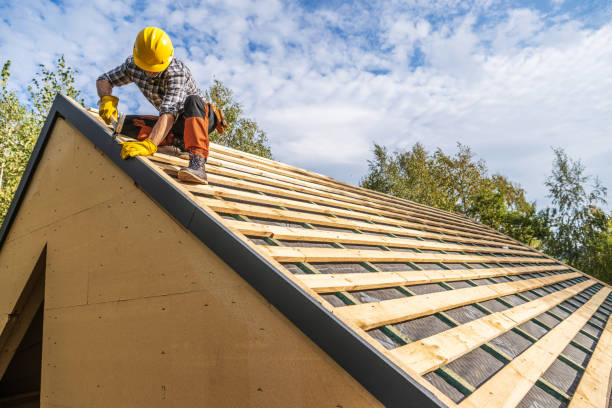 Best Roof Gutter Cleaning  in Helena West Side, MT